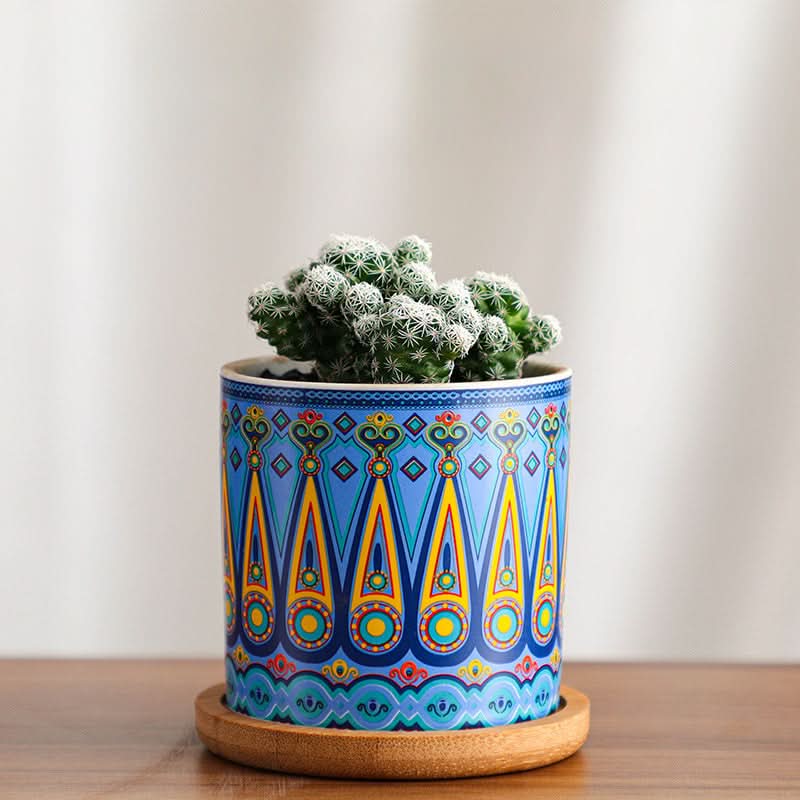 Modern Ceramic Succulent Planter for Decor