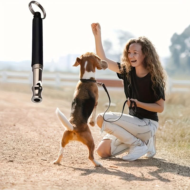 Silent Dog Training Whistle with Lanyard
