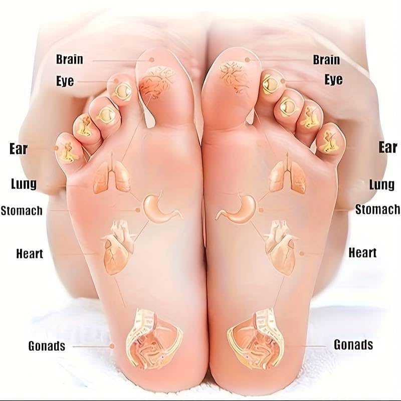 Foot Massage Socks – Acupressure Reflexology Therapy Socks with Massage Stick & Pressure Point Guide