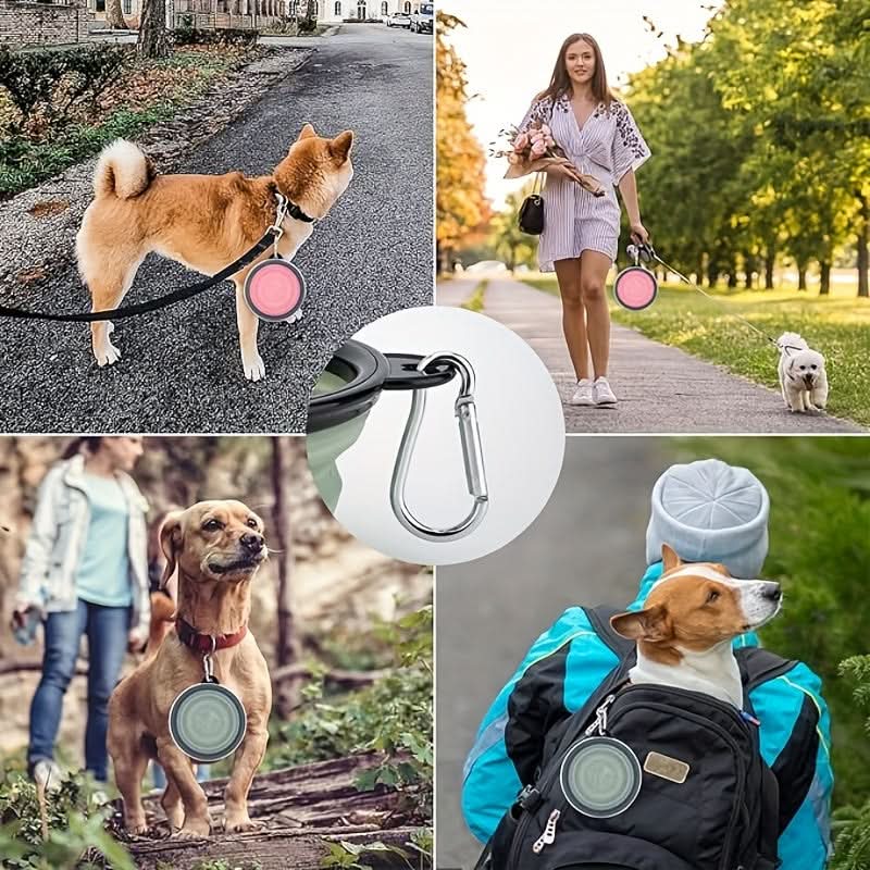 3-Pack Foldable Dog Travel Bowls