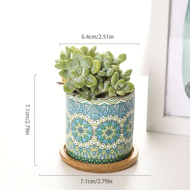 Contemporary Mandala Ceramic Succulent Planter