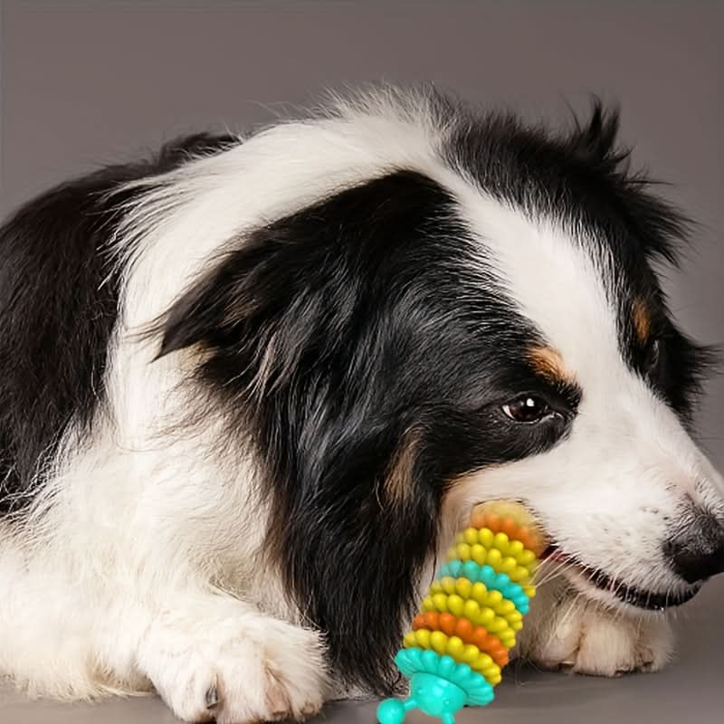 Durable Rubber Dog Chew Toy for Teething & Training