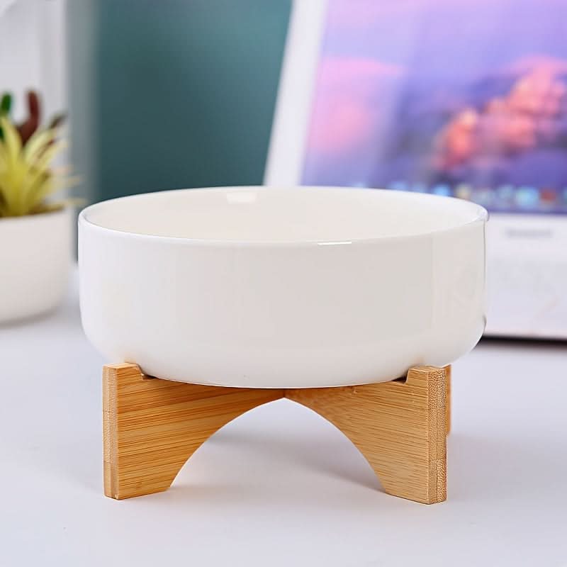 Modern White Ceramic Round Cactus Planter