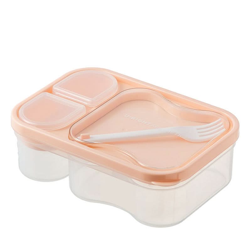 Double Layer Salad Lunch Box – Portable Japanese Meal Box with Compartments
