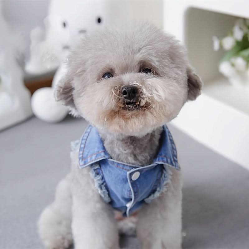 Dog Denim Vest for Small Dogs, Spring & Autumn