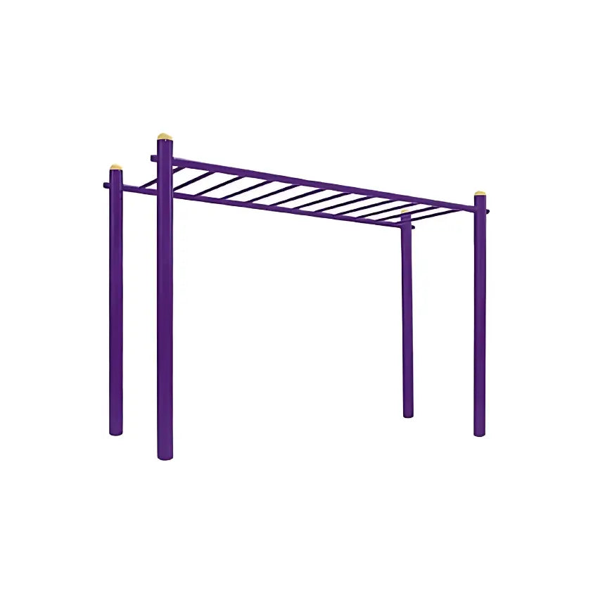 Metal Monkey Bar for Kids