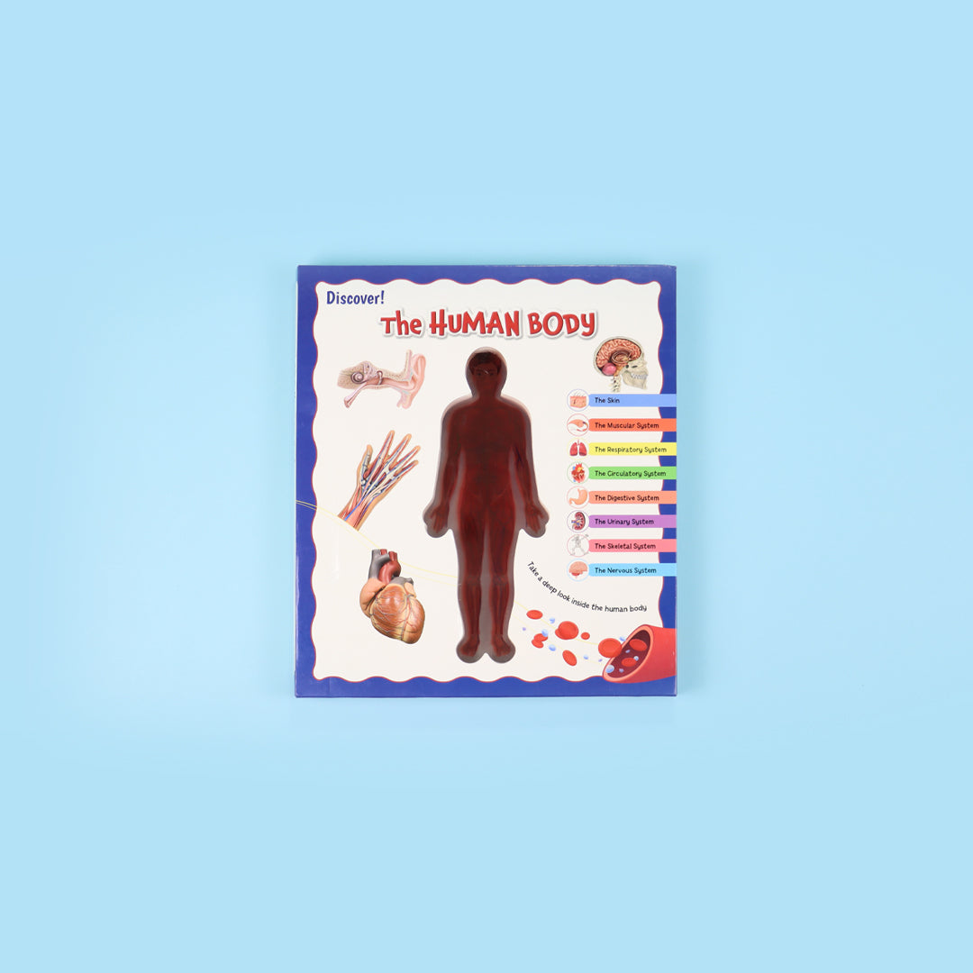 Discover The Human Body English