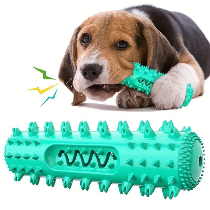 Durable Dog Chew Toothbrush for Cleaning