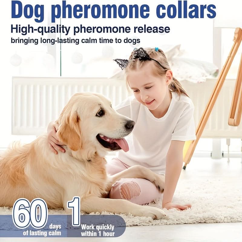 4-Pack Calming Dog Collars for Anxiety