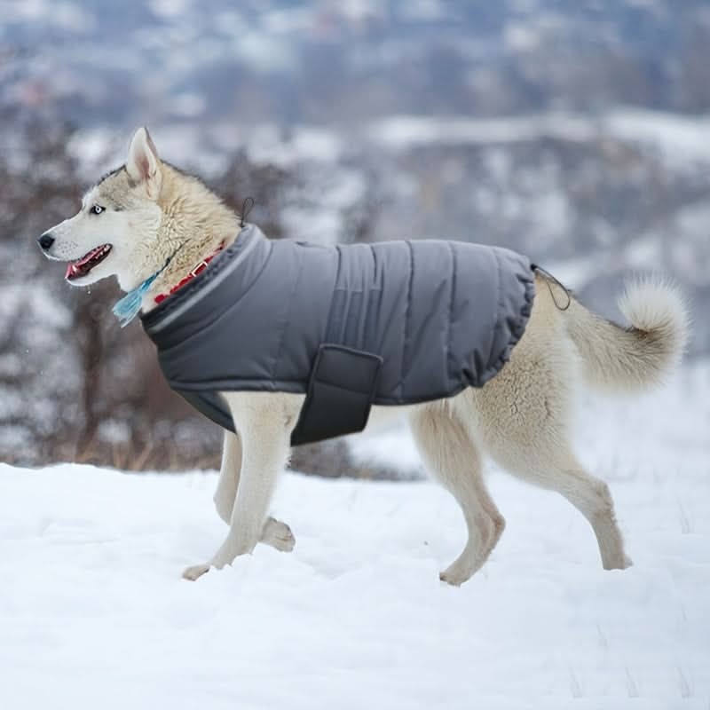 Waterproof Dog Winter Coat with Harness