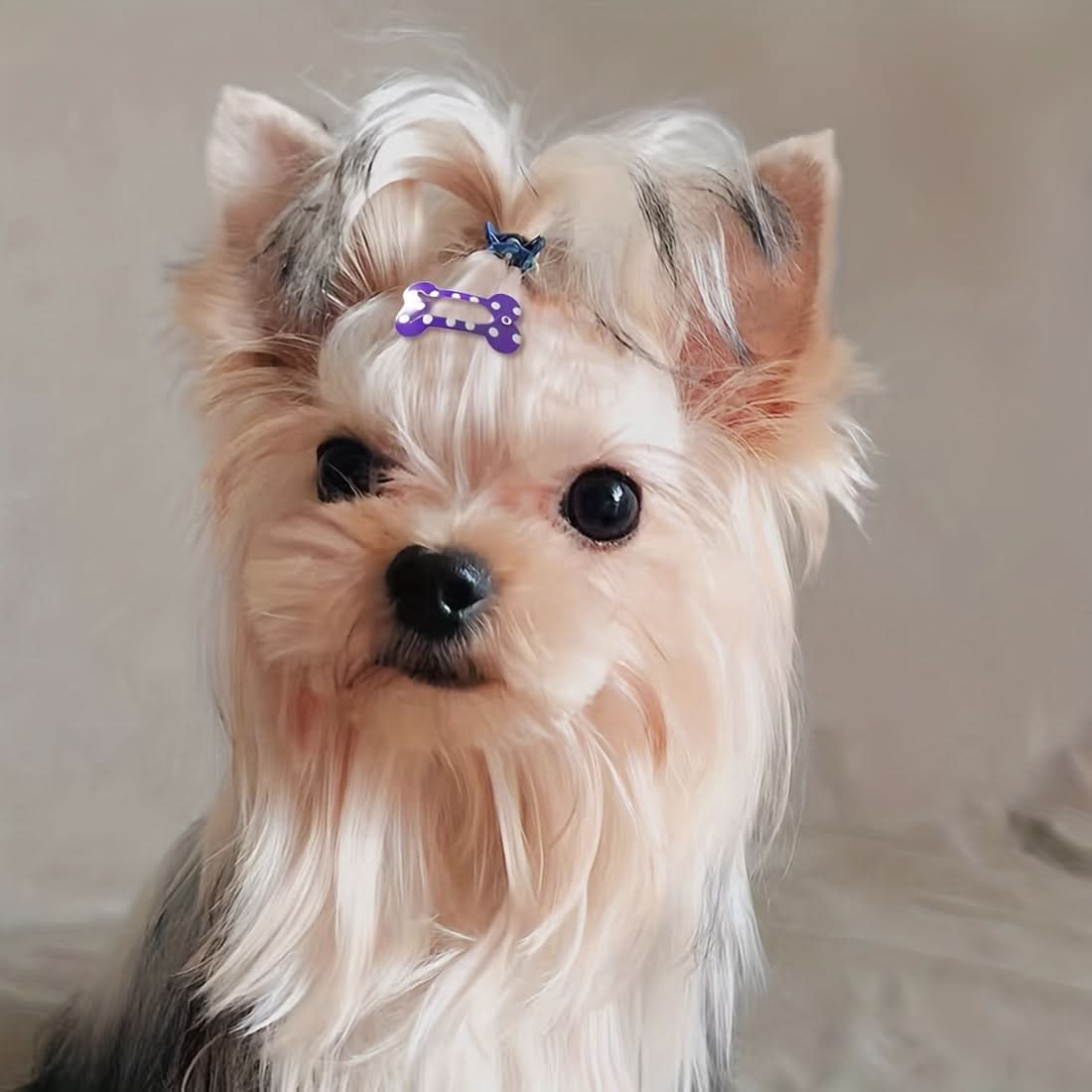 10-Pack Colorful Pet Hair Clips for Grooming