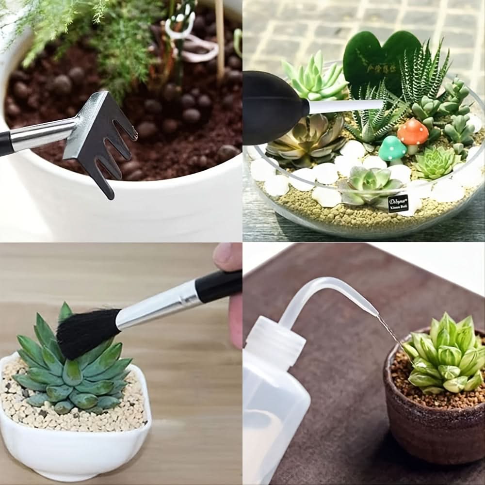 Mini Succulent & Bonsai Gardening Tool Kit