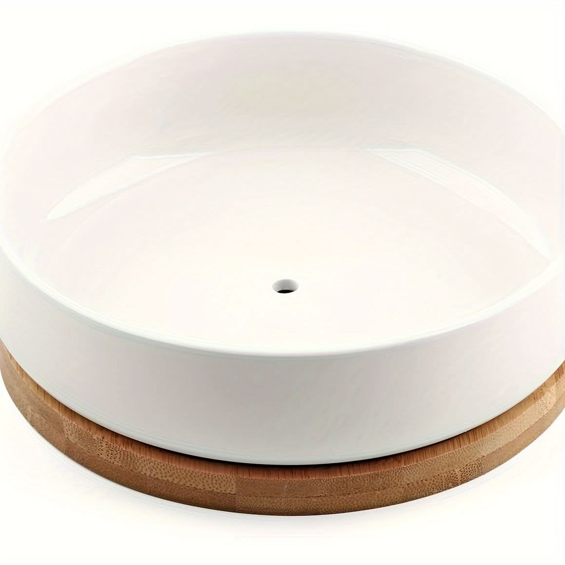 Modern White Ceramic Round Cactus Planter