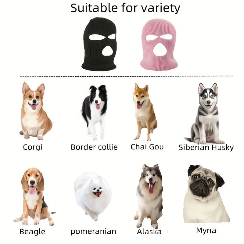 2pcs Dog Winter Hat & Glasses Set