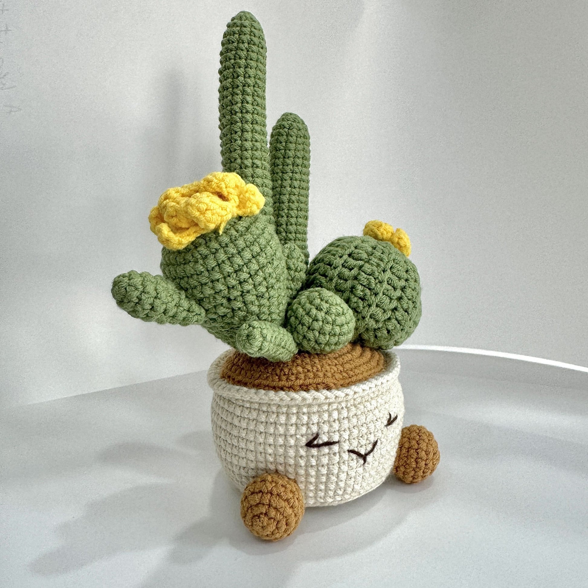Handmade Crochet Cactus Artificial Plant with Container