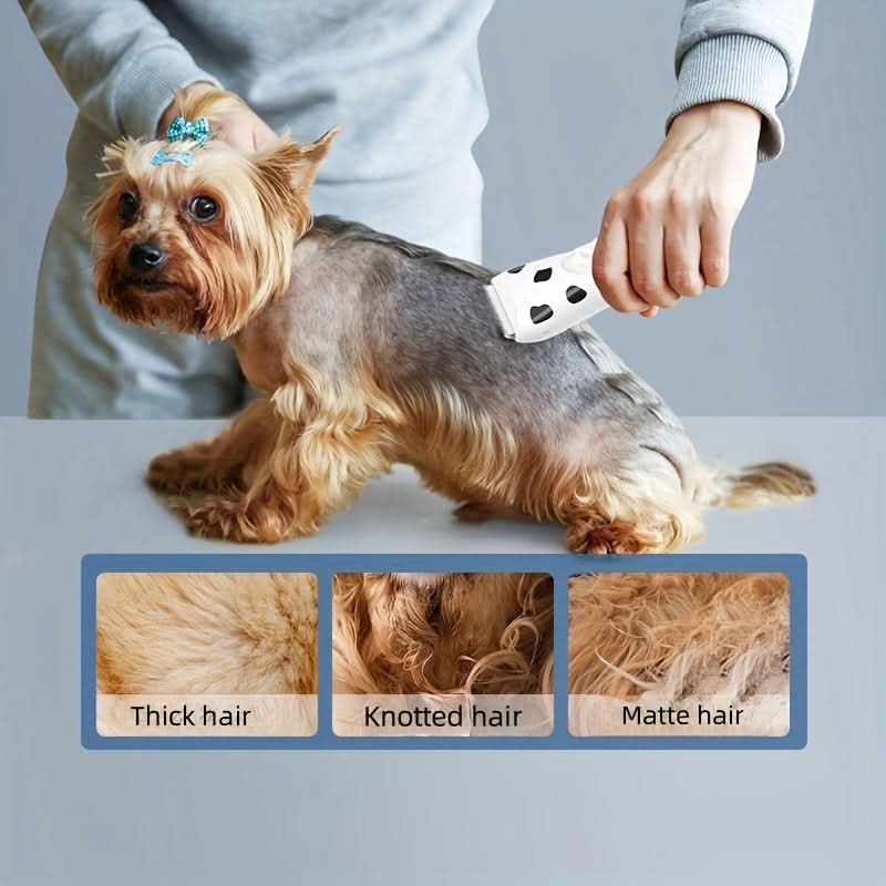 Professional Pet Grooming Kit