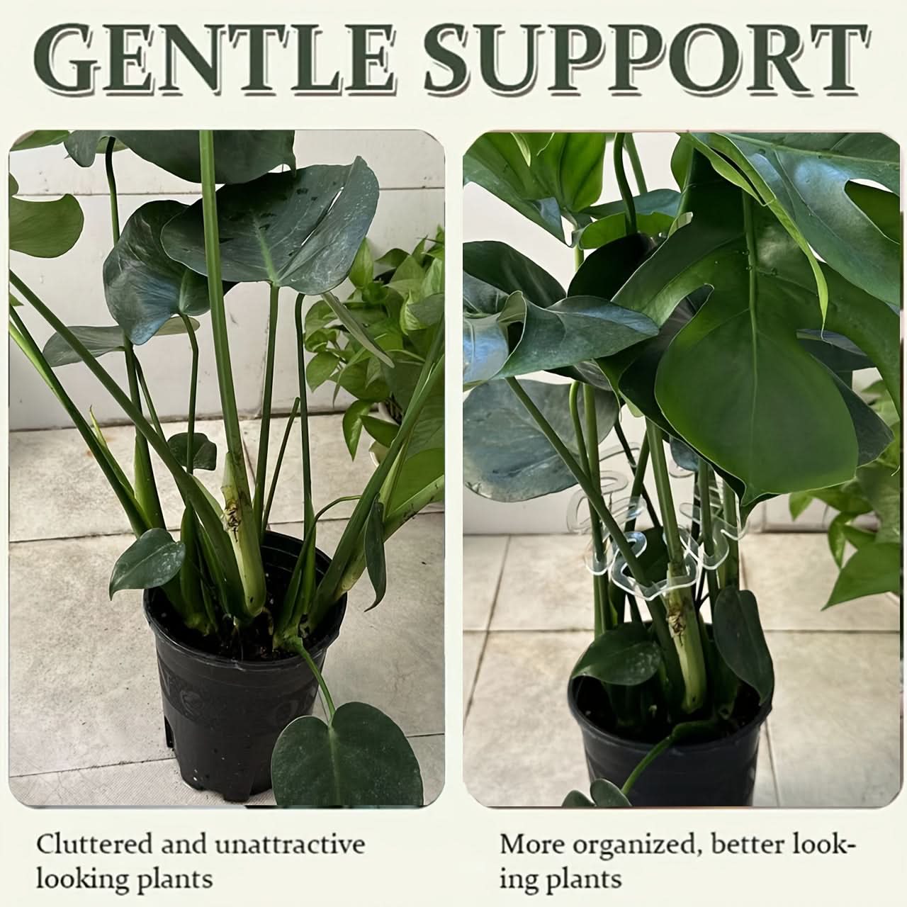 3pcs Adjustable Monstera Plant Support Clips
