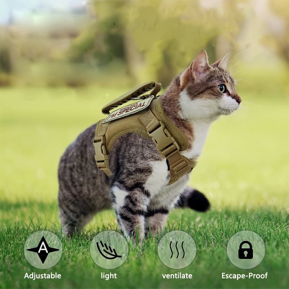 Adjustable 600D Tactical Pet Vest Harness - Durable, Comfortable, & Stylish Training Gear for Cats and Puppies