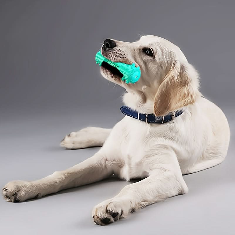 Durable Dog Chew Toothbrush for Cleaning