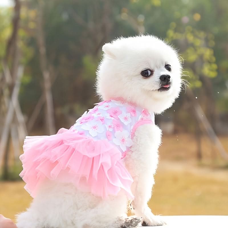 Breathable Pullover Dog Dress – Summer Pet Apparel