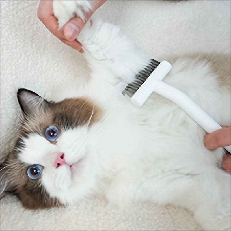 Pet Dematting Brush for Dogs & Cats