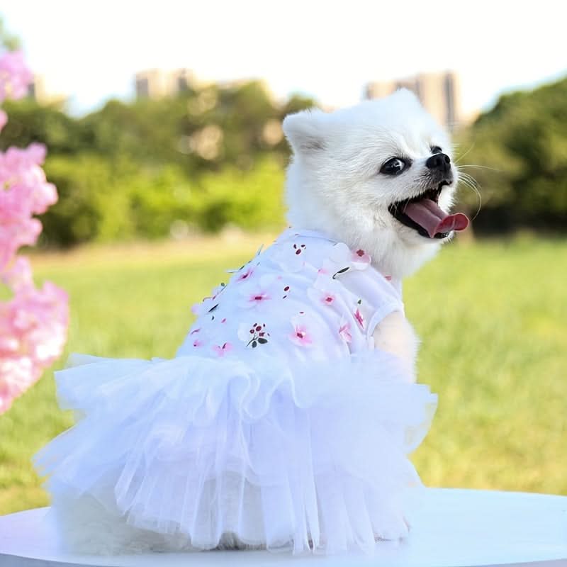 Breathable Pullover Dog Dress – Summer Pet Apparel