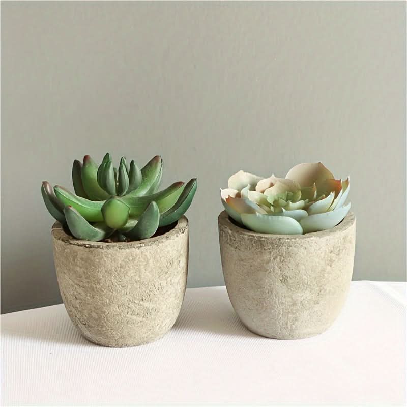 5pcs Mini Artificial Succulent Plants – Realistic Potted Decor