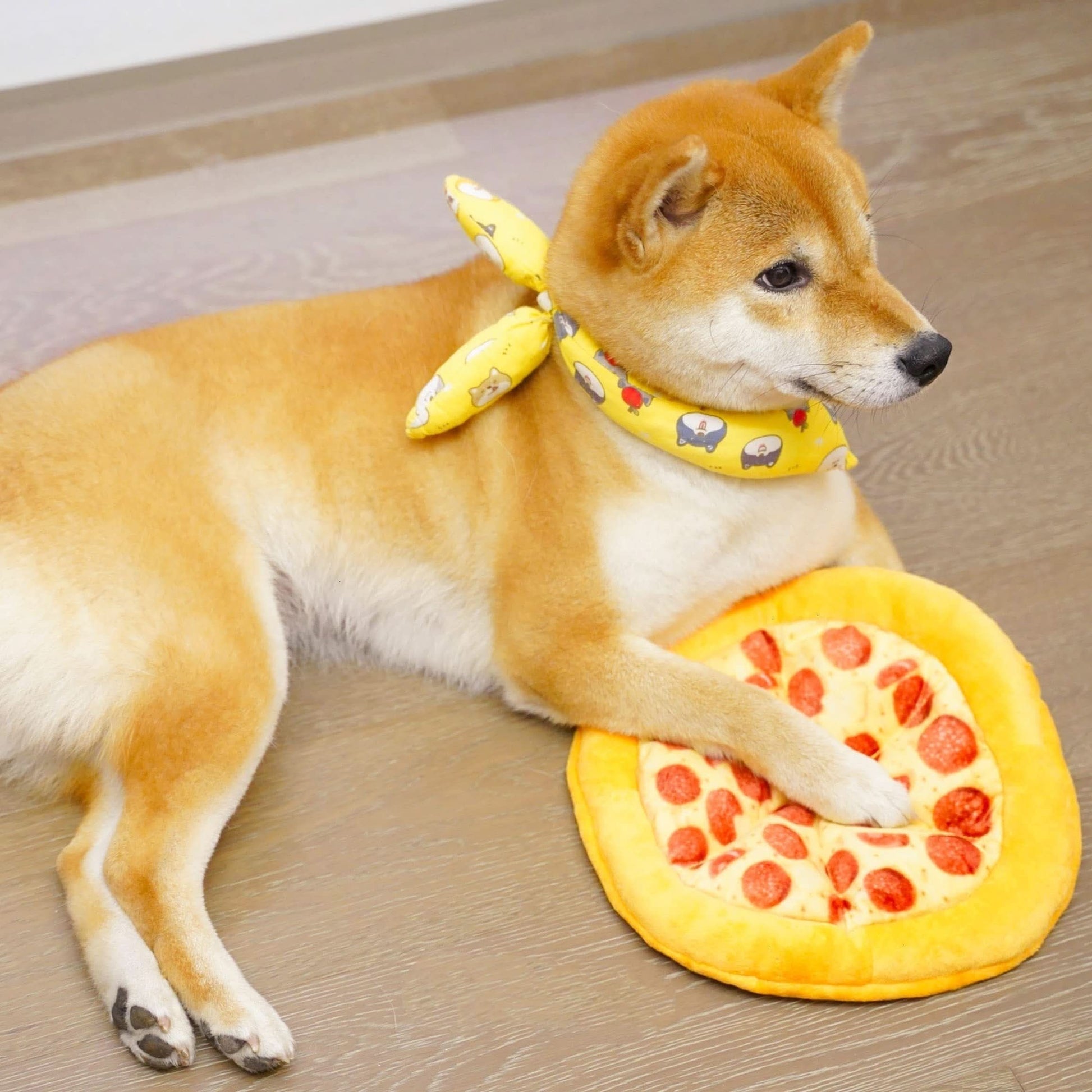 Interactive Pizza Plush Dog Toy – Squeaky Chew