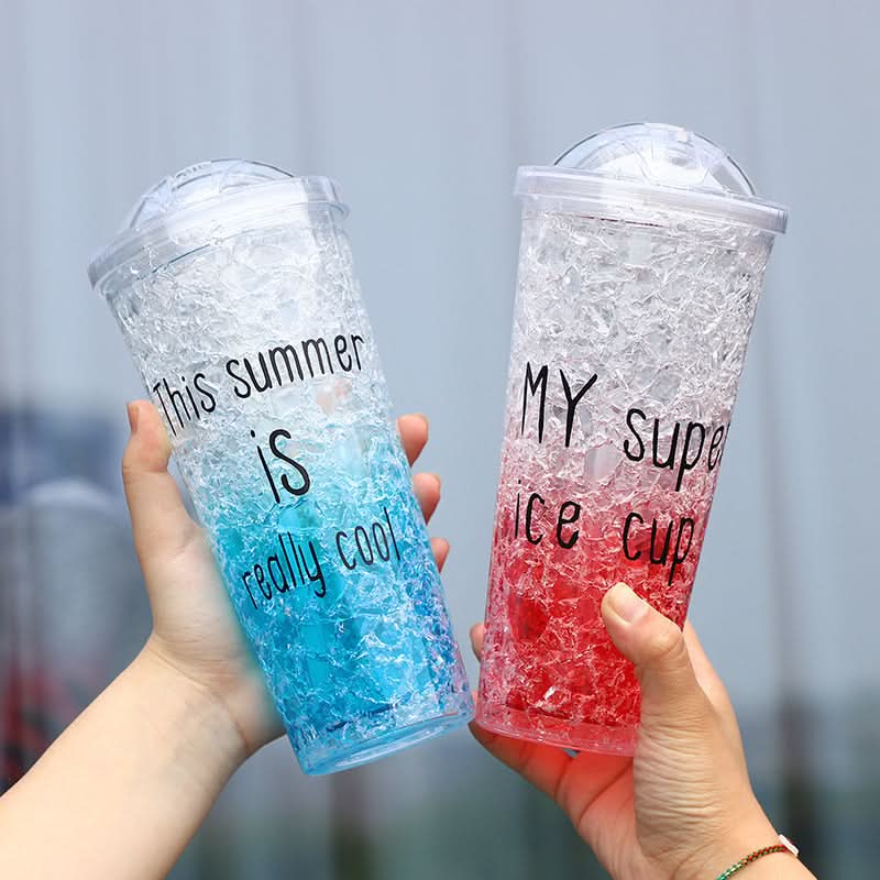 Double-Layer Plastic Tumbler with Straw