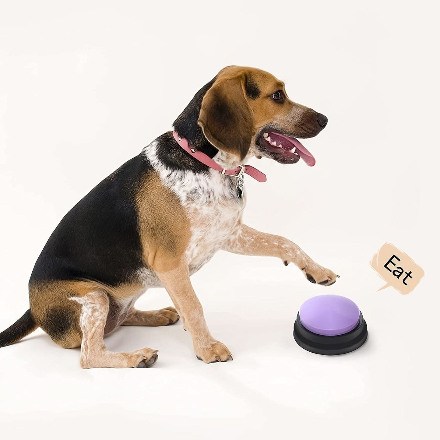 Dog Training Voice Recording Buttons