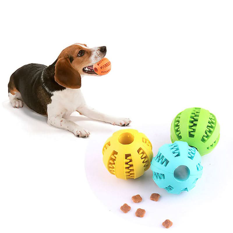 Interactive Rubber Dog Ball Toy – Chew, Dispense, and Clean Teeth