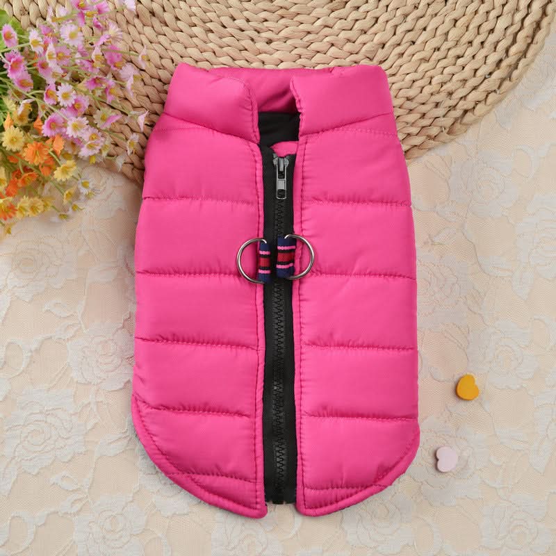 Waterproof Winter Pet Jacket for Small Dogs & Cats
