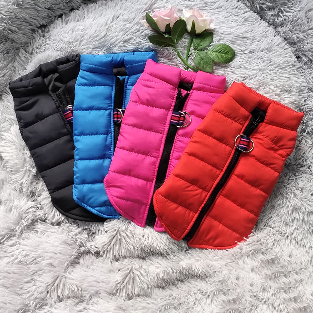 Waterproof Winter Pet Jacket for Small Dogs & Cats