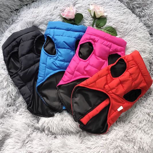 Waterproof Winter Pet Jacket for Small Dogs & Cats
