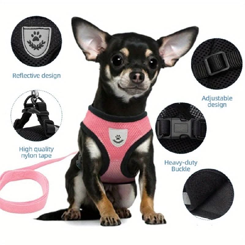 Adjustable Mesh Dog Harness & Leash Set
