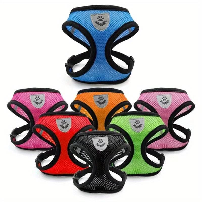 Adjustable Mesh Dog Harness & Leash Set