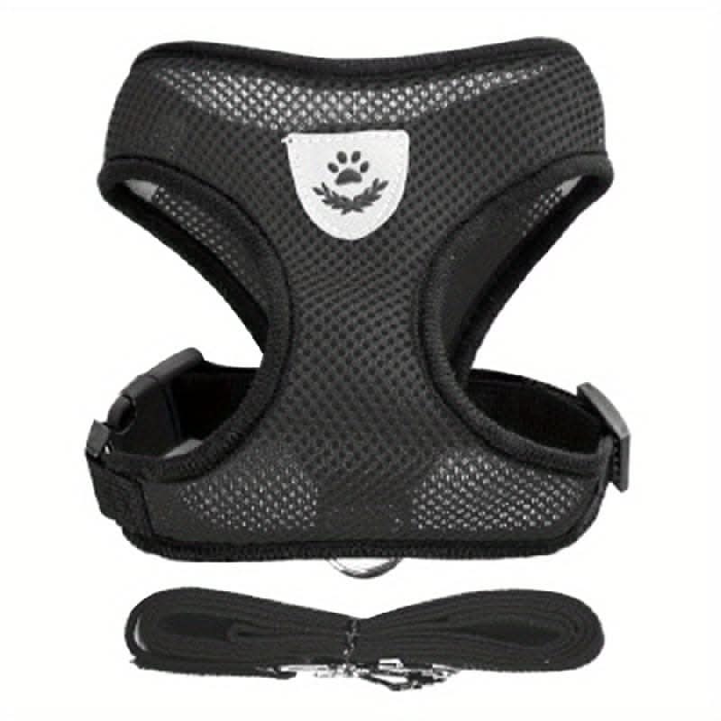 Adjustable Mesh Dog Harness & Leash Set