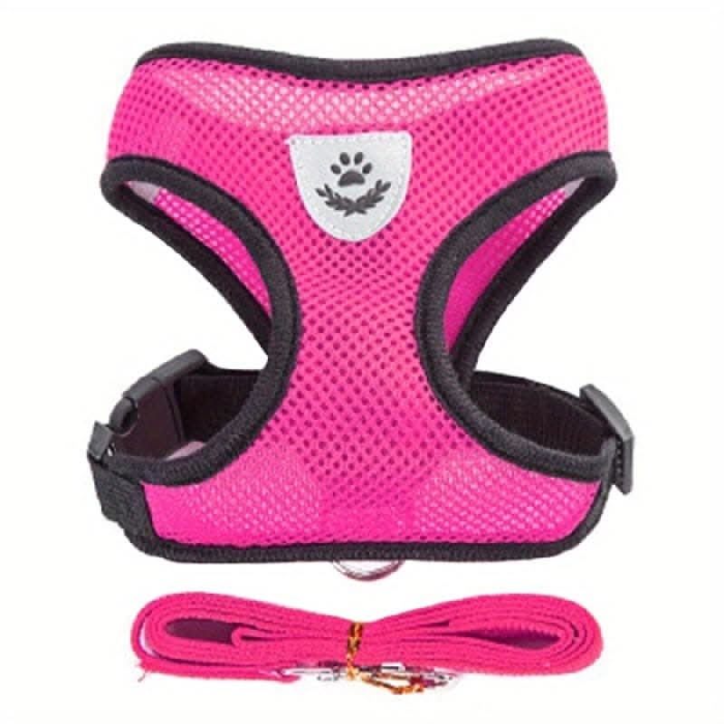 Adjustable Mesh Dog Harness & Leash Set