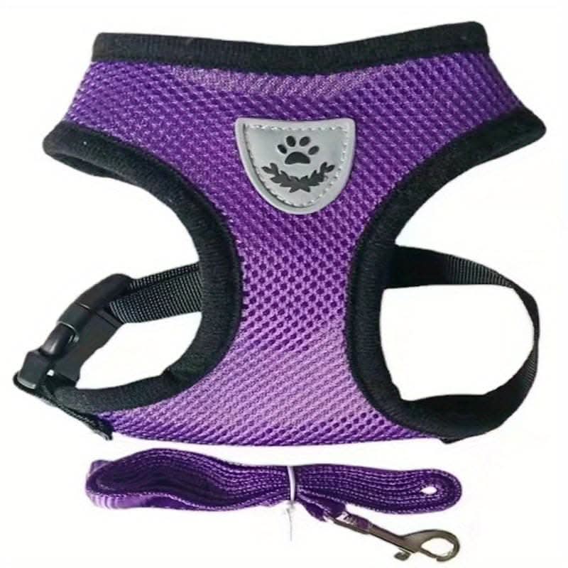 Adjustable Mesh Dog Harness & Leash Set