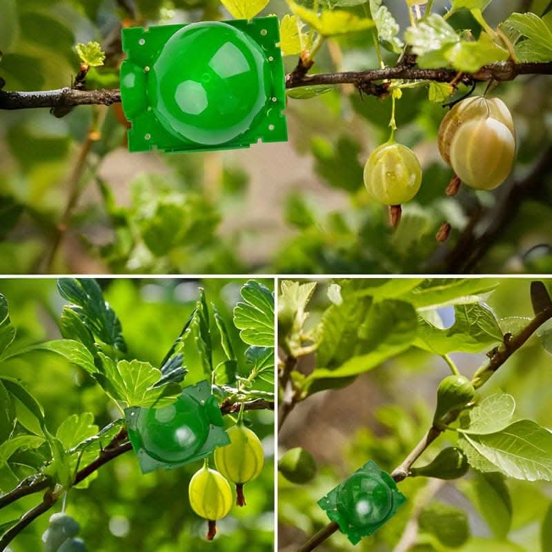 Tree Root Growing Box – High-Pressure Air Layering Pods for Plant Propagation