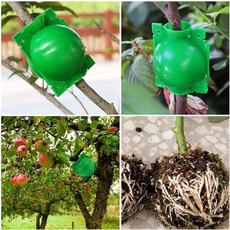 Tree Root Growing Box – High-Pressure Air Layering Pods for Plant Propagation