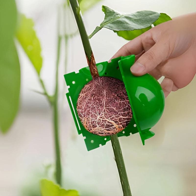 Tree Root Growing Box – High-Pressure Air Layering Pods for Plant Propagation