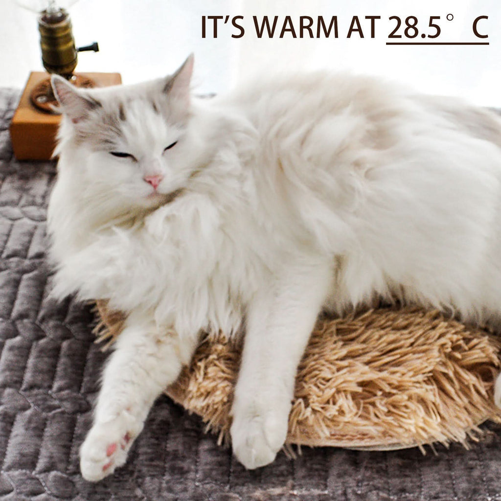 USB Heated Cat Bed – Cozy & Warm