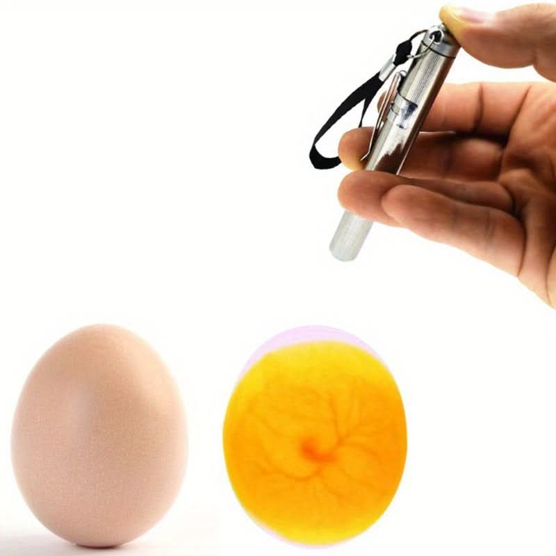 Portable Incubator Egg Tester with Keychain for Bird Egg Inspection