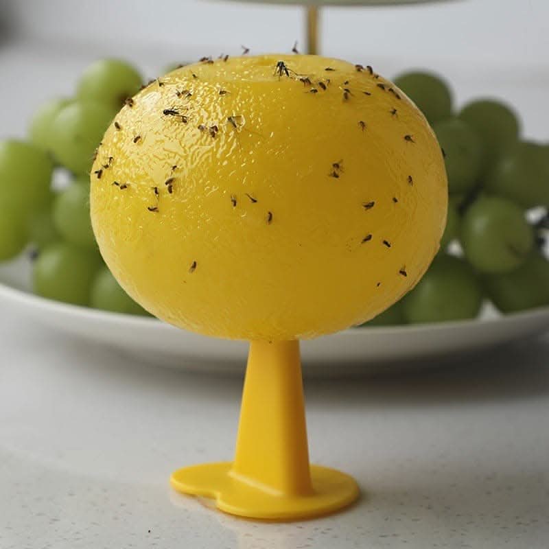 Fruit-Shaped Sticky Fly Trap Ball for Indoor Insect Control