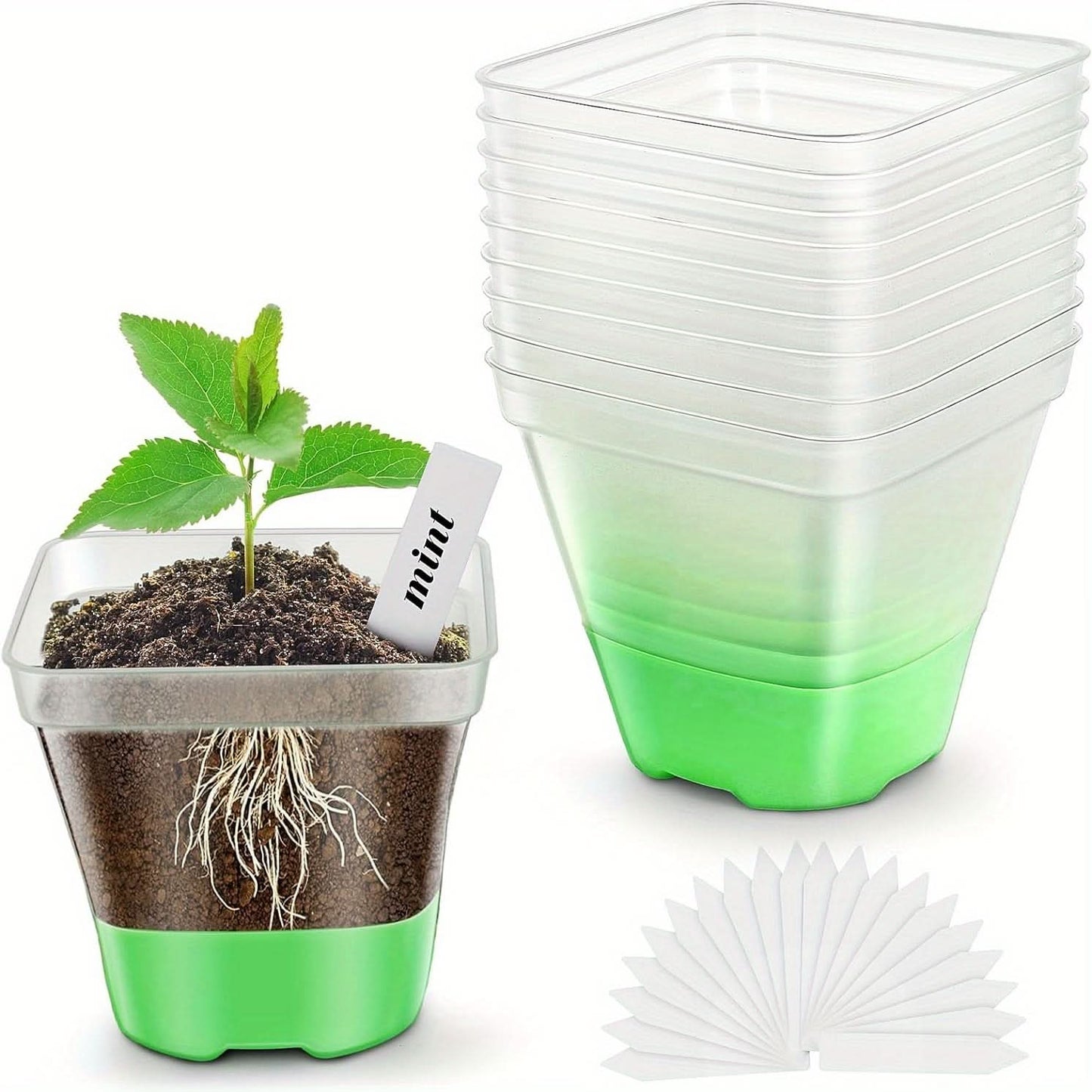 Clear Nursery Pots with Lid – 30-Pack Seed Starting Pots