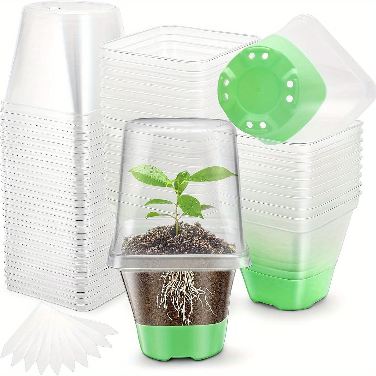 Clear Nursery Pots with Lid – 30-Pack Seed Starting Pots