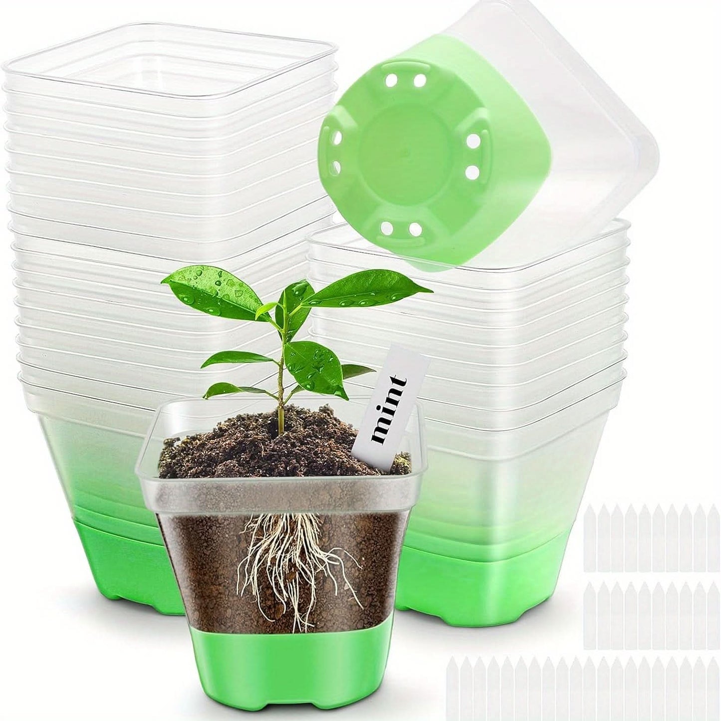 Clear Nursery Pots with Lid – 30-Pack Seed Starting Pots