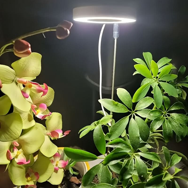 Adjustable LED Grow Light for Indoor Plants