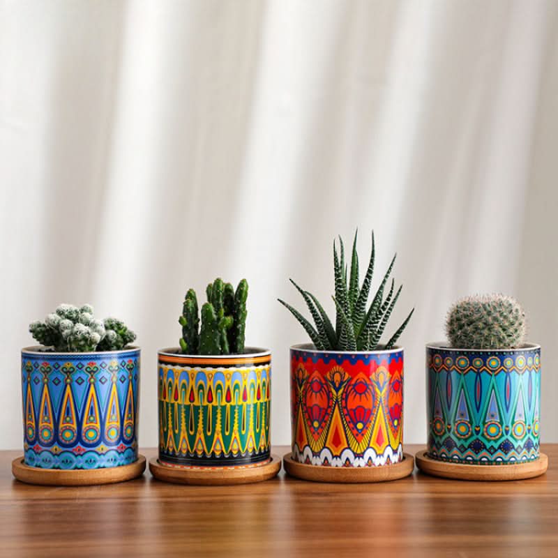 Modern Ceramic Succulent Planter for Decor